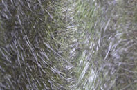 Great Longstone fibreglass roof work